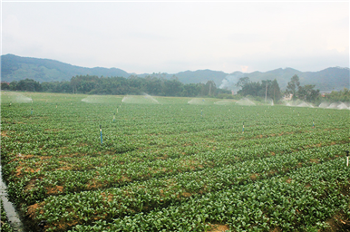 龍門生産基地(dì)