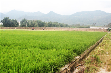 龍門生産基地(dì)