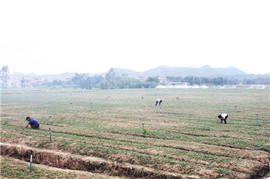 龍門生産基地(dì)