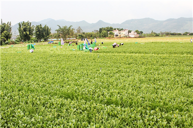 龍門生産基地(dì)