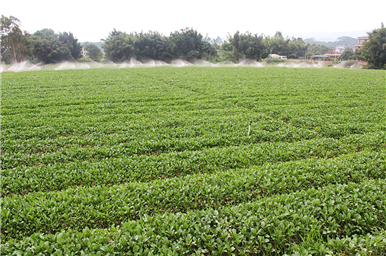 龍門生産基地(dì)